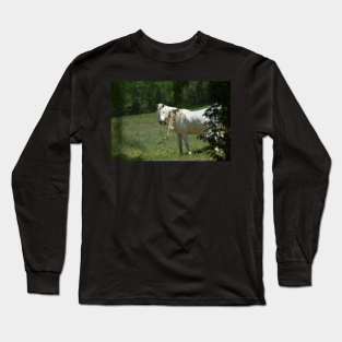 Wild Horse Long Sleeve T-Shirt